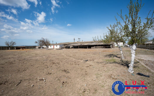 ID 7905 Oportunitate investiție agro-industrială – EXCLUSIVITATE