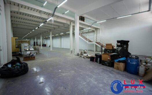ID 8292 De închiriat: Spațiu comercial / Hală / Depozit