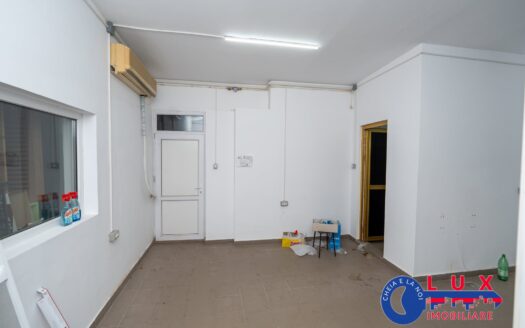 ID 8281 Spațiu DE ÎNCHIRIAT – Strada Prislav