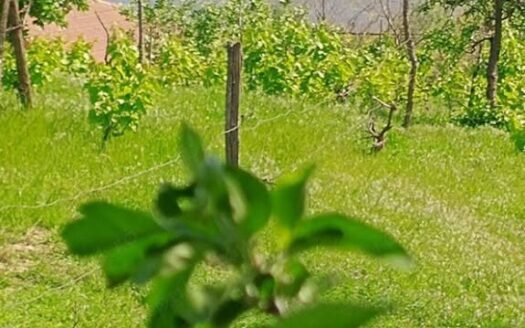 ID 7852 Teren pentru casă – Strada Orizontului