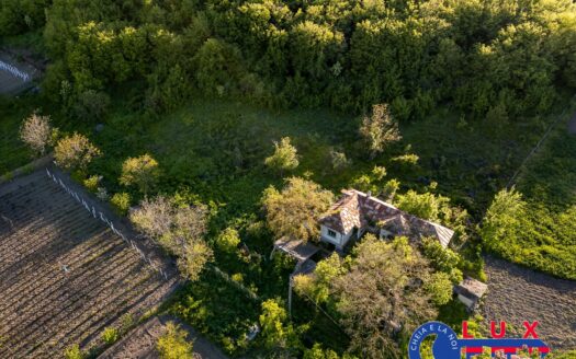 ID 7923 EXCLUSIVITATE – Oază de liniște în Visterna