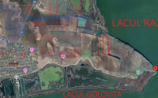 ID 7844 EXCLUSIVITATE – TEREN VITICOL PRODUCTIV – CAPUL DOLOȘMAN