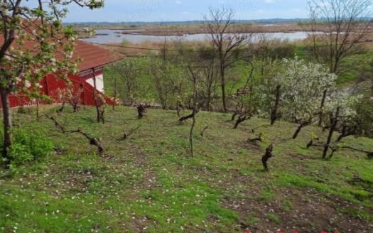 ID 7852 Teren pentru casă – Strada Orizontului