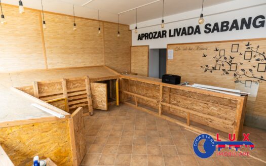 ID 6137 Spațiu DE VÂNZARE – STRADA Mahmudiei