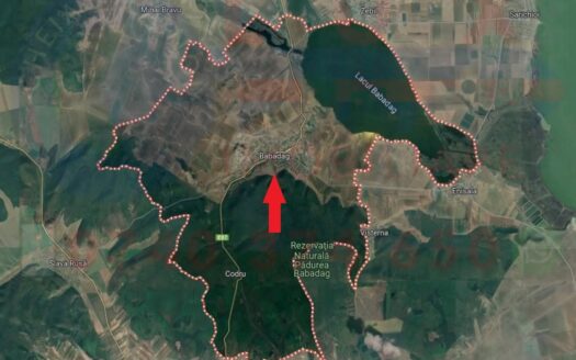 ID 7259 Teren intravilan – Oras Babadag