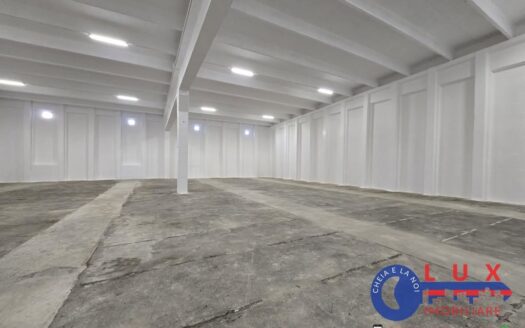 ID 9066 Hală DE ÎNCHIRIAT – Zona Prislav
