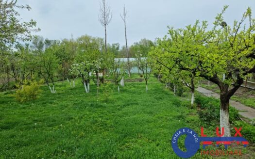 ID 6497 | CASĂ CU DESCHIDERE LA LACUL CÂȘLA – TEREN 1.750 MP