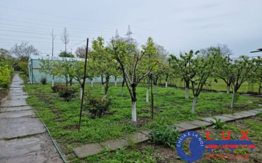 ID 6497 | CASĂ CU DESCHIDERE LA LACUL CÂȘLA – TEREN 1.750 MP