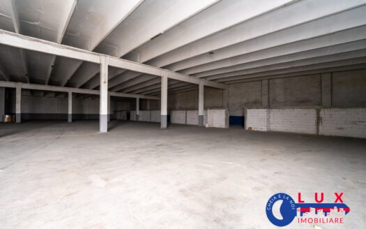  ID 9068 Hală DE ÎNCHIRIAT – Strada Viticulturii